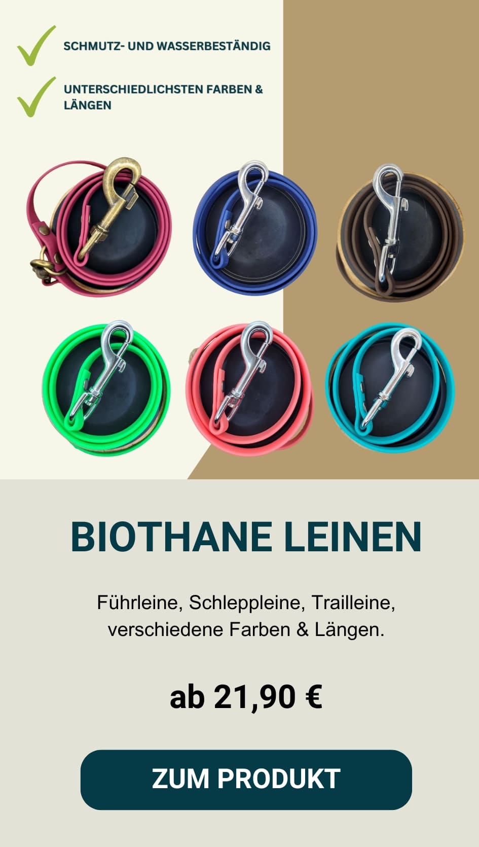 Hundeschule, Hundetrainer werden, Zubehör für Hunde