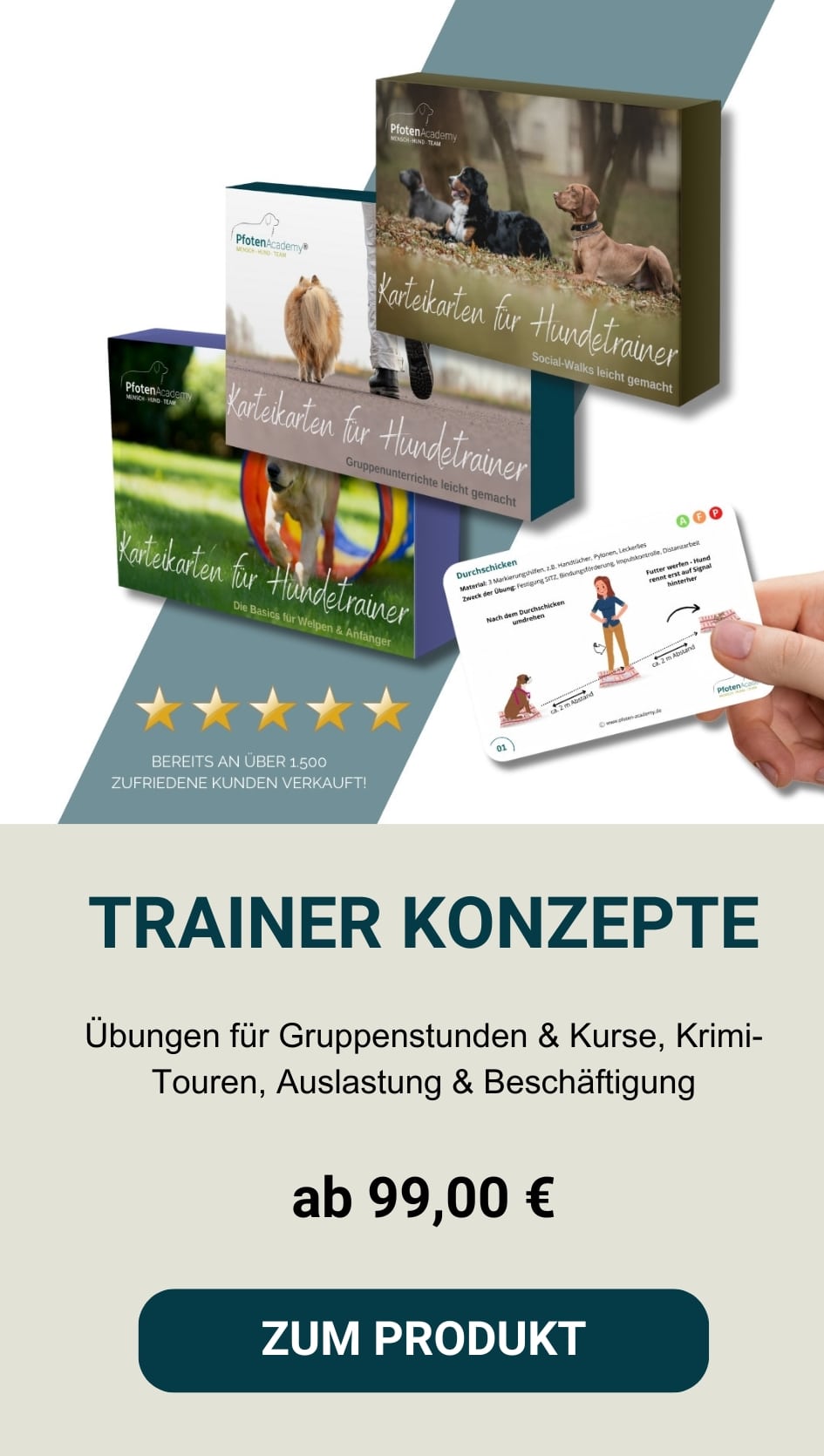 Hundeschule, Hundetrainer werden, Zubehör für Hunde