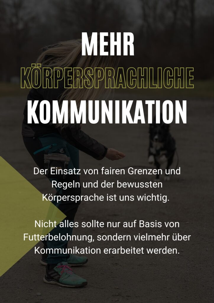 Hundeschule, Hundetrainer werden