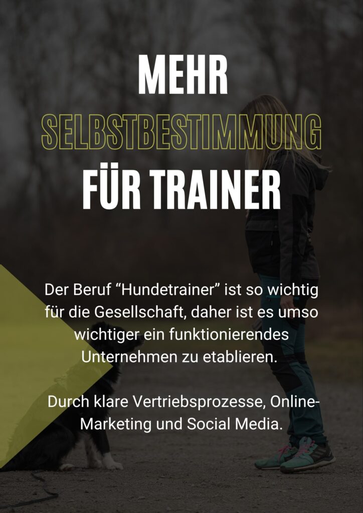 Hundeschule, Hundetrainer werden