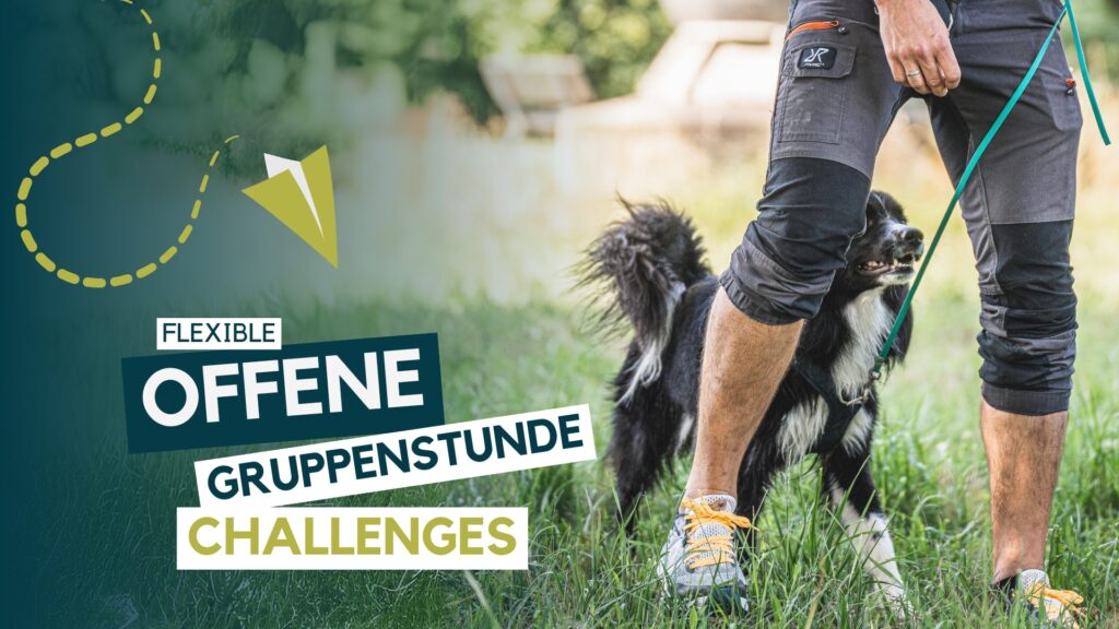 Hundeschule, Hundetraining, Welpenschule, Erziehung