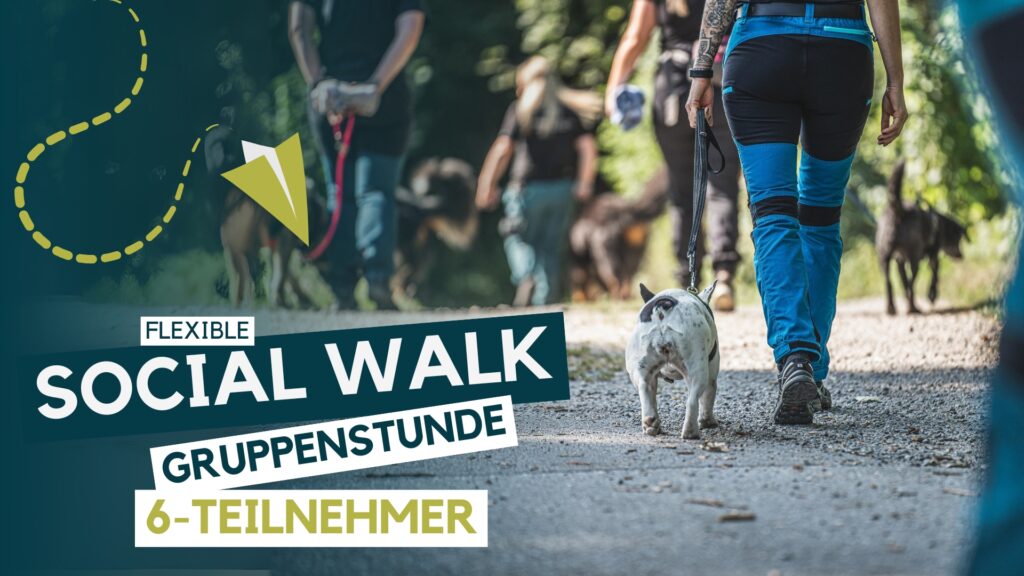 Hundeschule, Hundetraining, Welpenschule, Erziehung